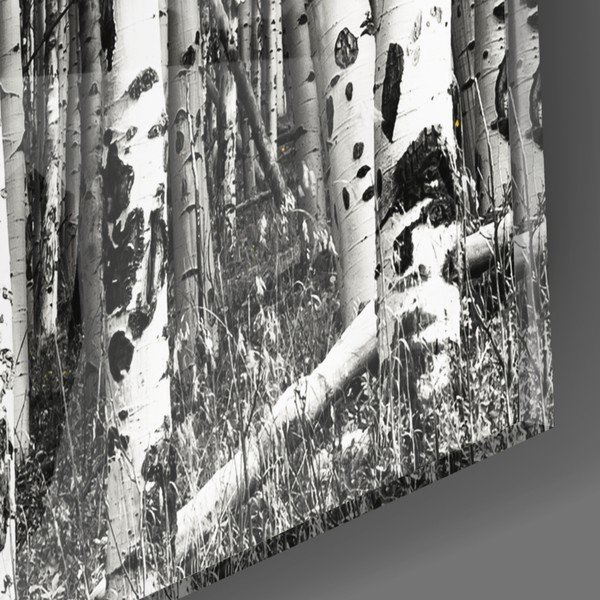 Yellow Forest üvegkép, 110 x 70 cm - Insigne-image-2