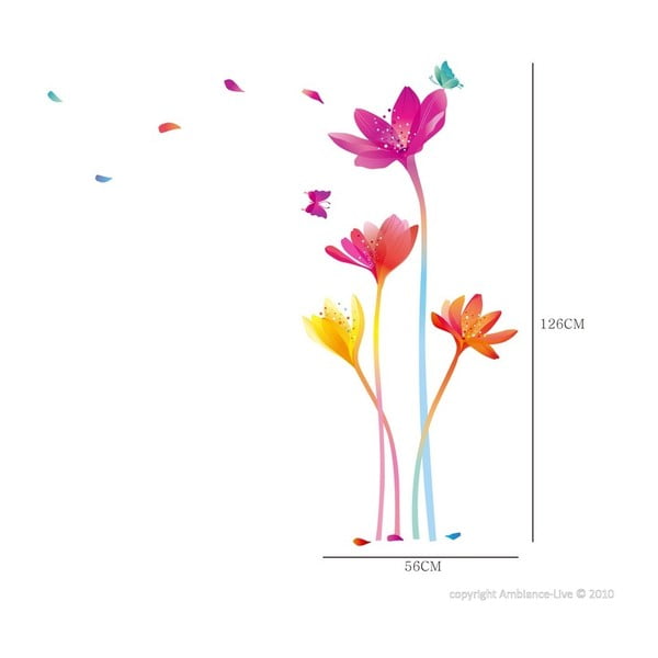 Rainbow Flowers falmatrica szett - Ambiance-image-1