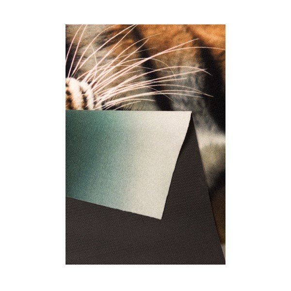 Home Tiger, 190 x 140 cm - Hanse Home-image-2