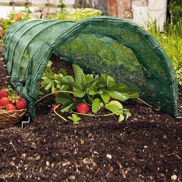 Kerti textília – Garden Pleasure-image-1