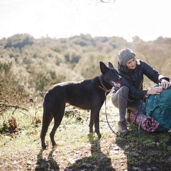 Barna utazó fekhely kutyáknak 50x75 cm Outdoor Chill Pad Mocha M – P.L.A.Y.-image-2