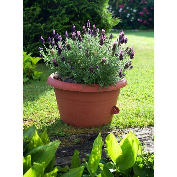 Siesta barna önöntöző virágtartó, ø 25 cm - Plastia-image-1