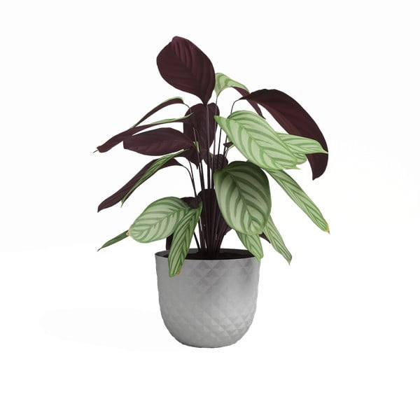 Újrahasznosított műanyag virágcserép ø 20 cm Havana – Artevasi-image-2