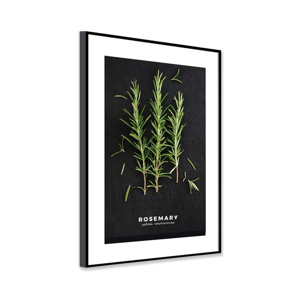 Kép 50x70 cm Rosemary – Styler-image-3