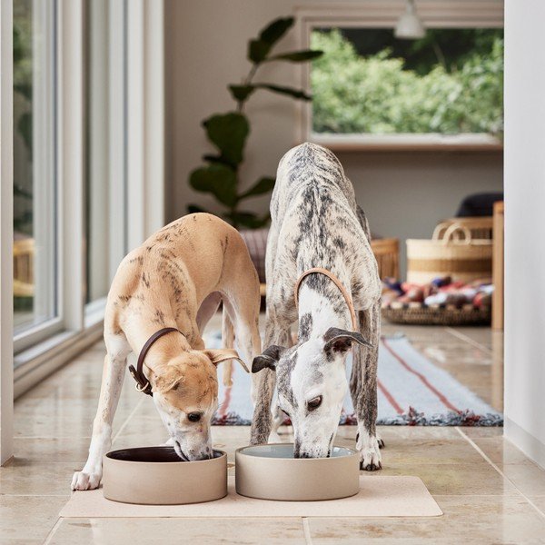 Kerámia tálka kutyáknak ø 17 cm Sia – OYOY Living Design-image-3
