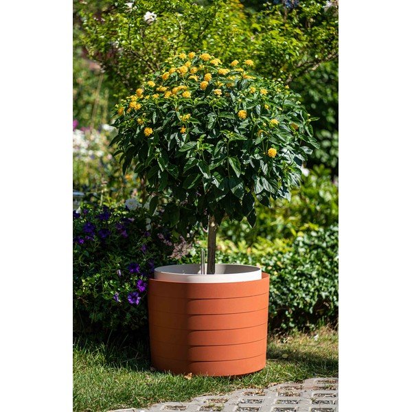 Berberis barnásvörös önöntözős virágcserép, ø 55 cm - Plastia-image-1