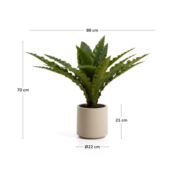 Suculent műnövény (magasság 70 cm) Neottopteris – Kave Home-image-4
