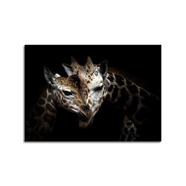 Glas Animals Giraffe kép, 70 x 100 cm - Styler