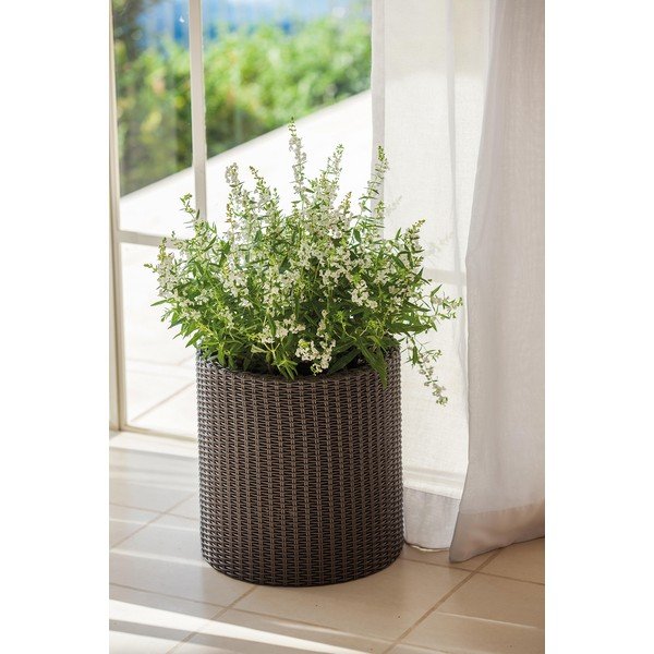 Műanyag virágcserép ø 28 cm Cylinder – Keter-image-1