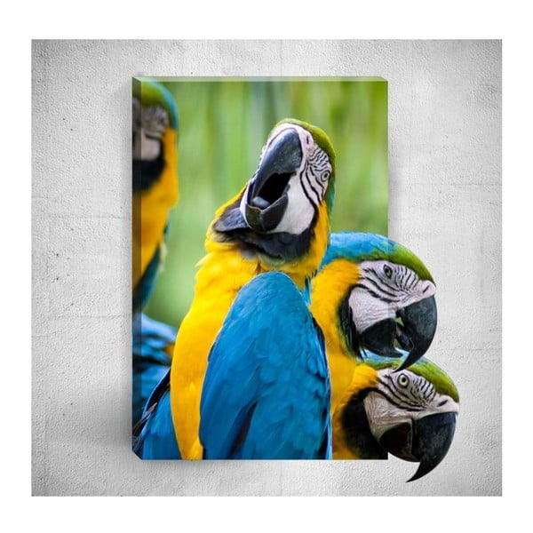 Parrots 3D fali kép, 40 x 60 cm - Mosticx