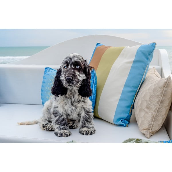 Díszpárna 50x50 cm Vivero - Madison-image-1