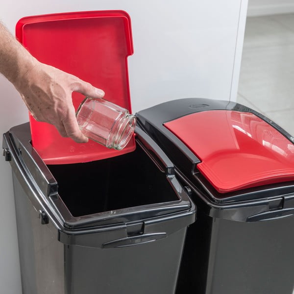 Kék-fekete kukafedél - Addis-image-1