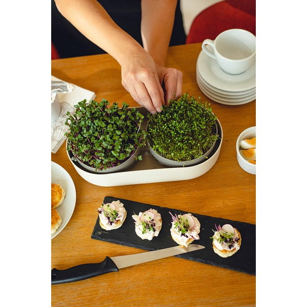 Csíráztató tálka szett Microgreens & Regrow - Plastia-image-3