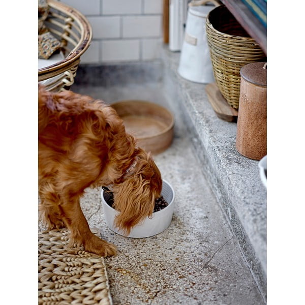 Agyagkerámia tálka kutyáknak ø 21,5 cm Buddy – Bloomingville-image-1