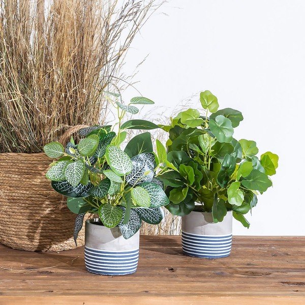 Műnövény (magasság 39 cm) Leaves – Ixia-image-1