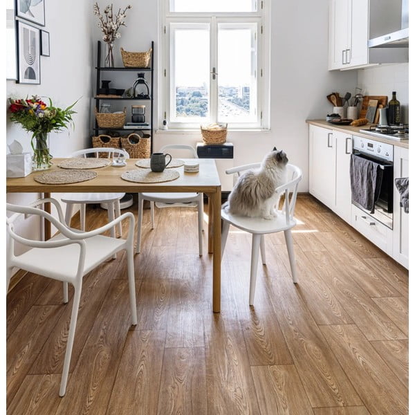 Dali Chaur 2 db fehér étkezőszék - Bonami Selection-image-1