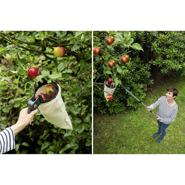 Teleszkópos gyümölcsszedő - Maximex-image-1