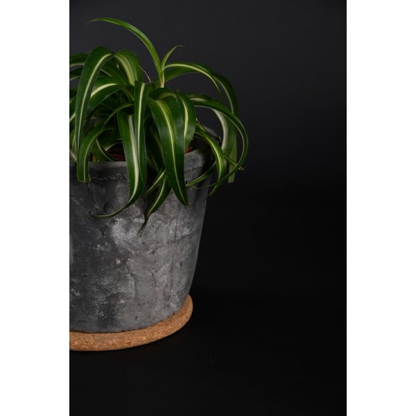 Parafa cserépalátét ø 18 cm – Esschert Design-image-1