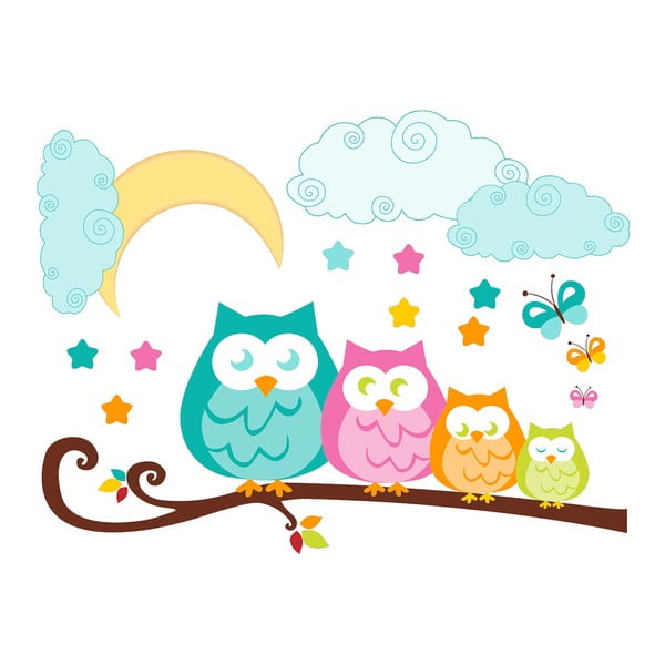 Owls In family falmatrica - Ambiance-image-2