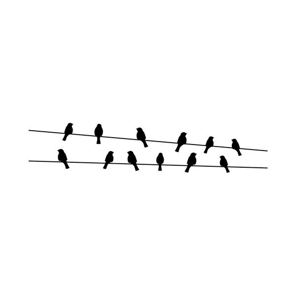 Birds on the Wire falmatrica - Ambiance-image-1