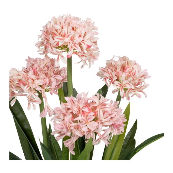 Művirág (magasság 100 cm) Hyacinth – Ixia-image-2