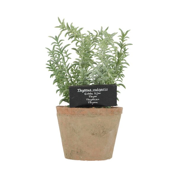 Műnövény (magasság 21,5 cm) Thyme – Esschert Design-image-4