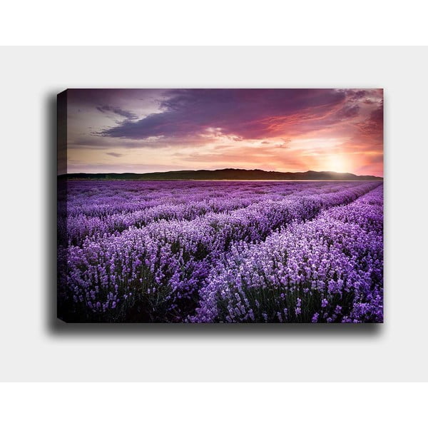 Kép 100x70 cm Lavender Field – Wallity-image-2