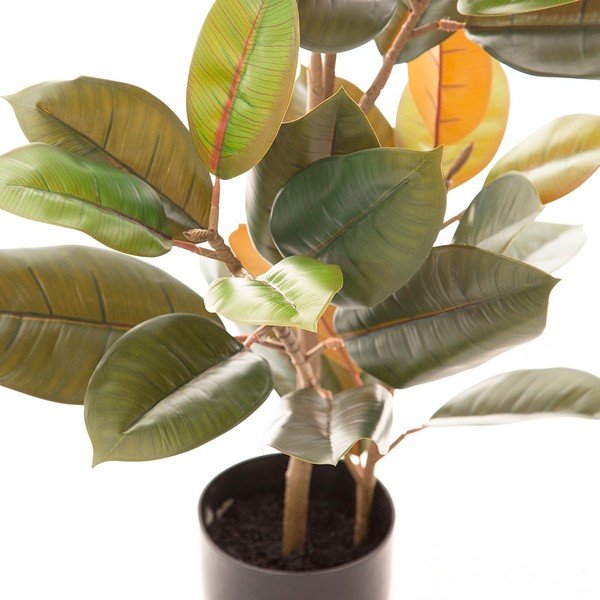 Fikusz műnövény (magasság 90 cm) Ficus – Ixia-image-2