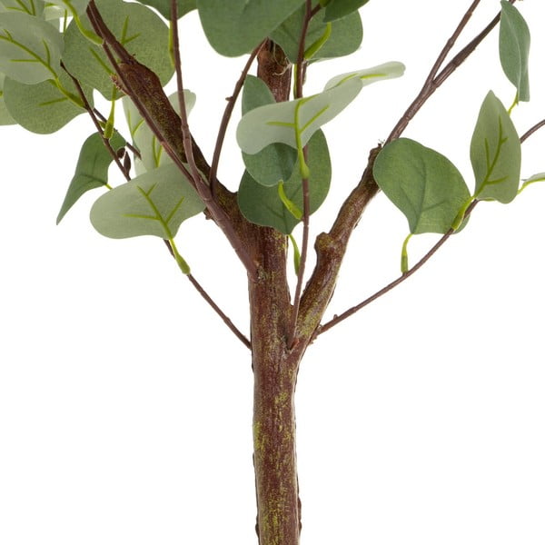 Művirág Eucalyptus – Casa Selección-image-2