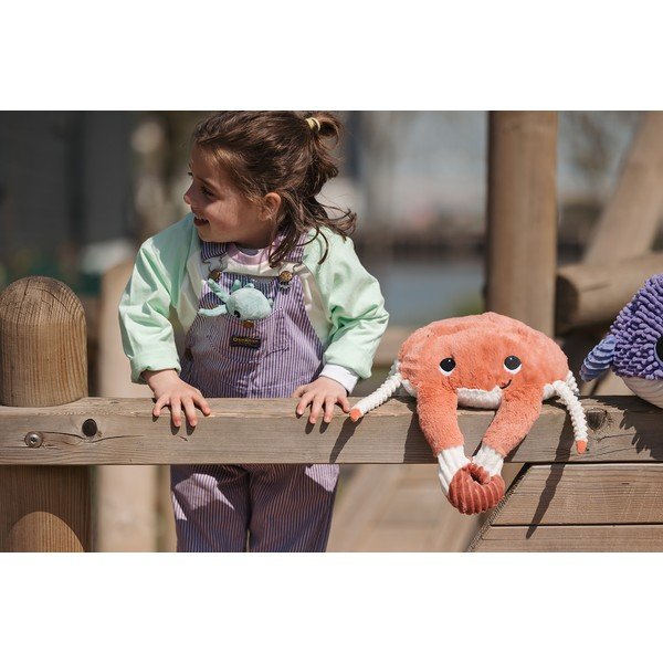 Plüssjáték szett 2 db-os Ptipotos Cassecou – Les Deglingos-image-2