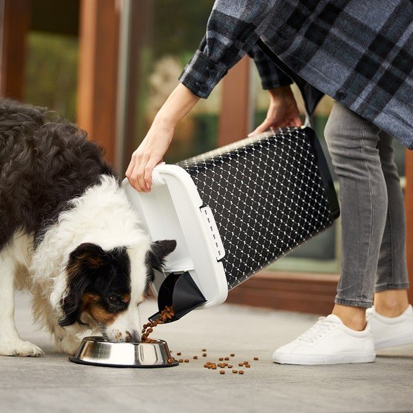 Fekete állateledel tartó doboz 50 l Cody - Rotho-image-1