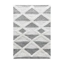 Szürke szőnyeg 160x230 cm Pisa – Ayyildiz Carpets