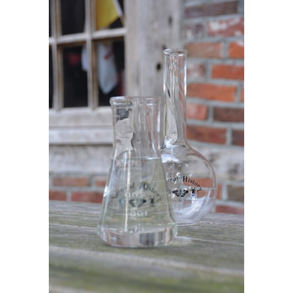 Üveg váza (magasság 23 cm) Natural History – Esschert Design-image-1