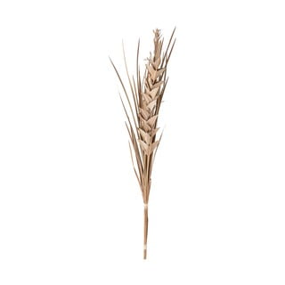 Bell pálmalevél formájú dekoráció, magasság 100 cm - Bloomingiville