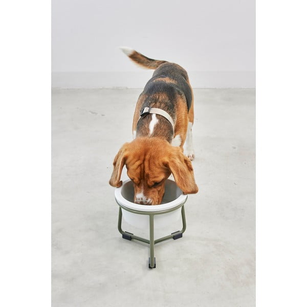 Porcelán tálka állvánnyal kutyáknak ø 20 cm Pranzo Grolive M – MiaCara-image-1