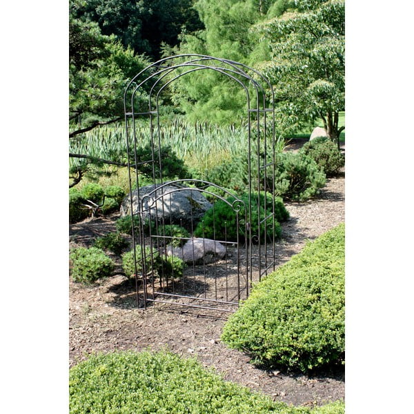 Kapu Mayon – Garden Pleasure-image-3