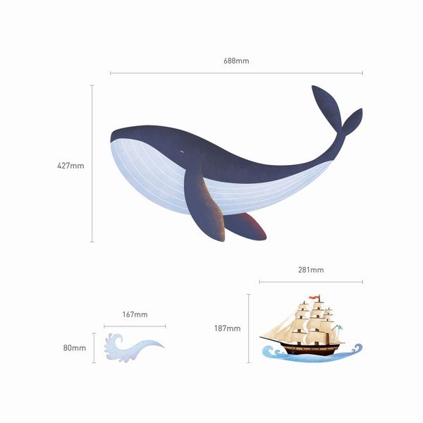 Whale falmatrica - Ambiance-image-1