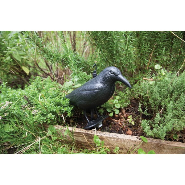 Műanyag madárijesztő Crow – Esschert Design-image-3