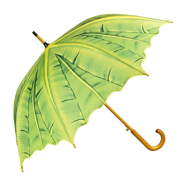 Palm Tree zöld botesernyő - Von Lilienfeld