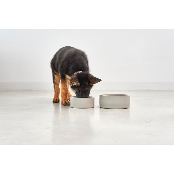 Porcelán tálka kutyáknak ø 20 cm Scodella Greige M/L – MiaCara-image-1