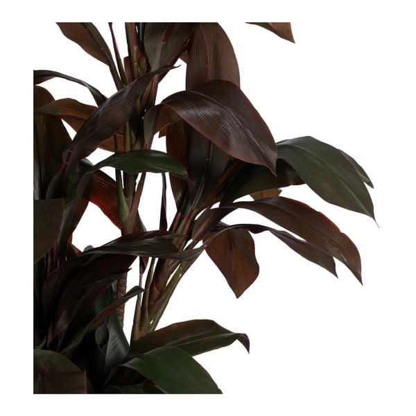 Műnövény (magasság 170 cm) – Ixia-image-2