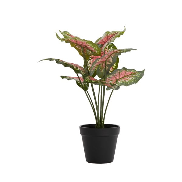 Műnövény (magasság 40 cm) Caladium – Light & Living