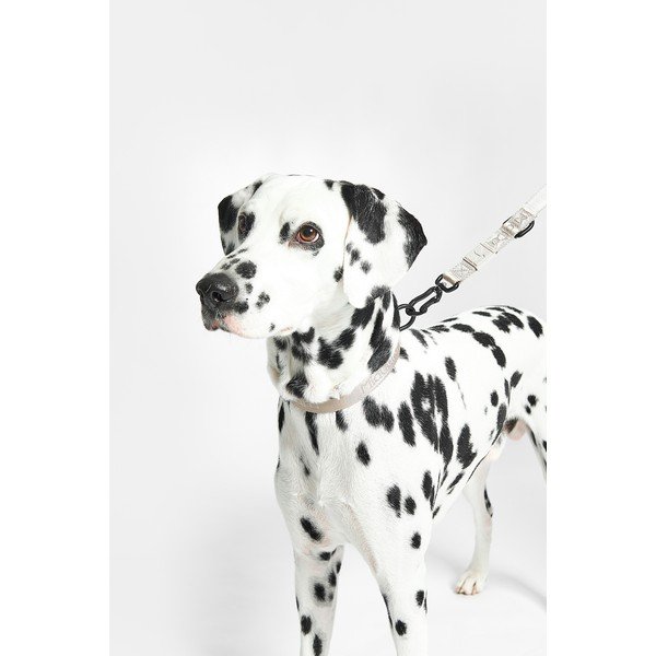 Bézs nyakörv M/L hosszúság 35 cm Modena Greige M/ML – MiaCara-image-3