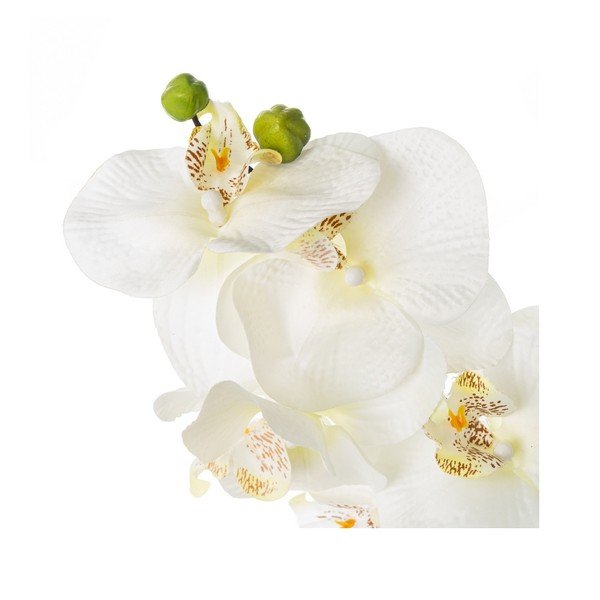 Műnövény (magasság 45 cm) Orchid – Casa Selección-image-1