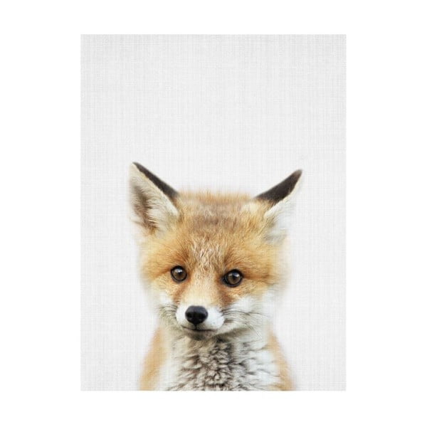 Baby Animals Fox poszter, 30 x 40 cm - Blue-Shaker