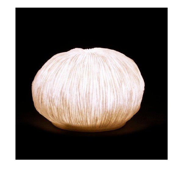 Krémszínű asztali lámpa (magasság 9 cm) Egee – Côté Table-image-4