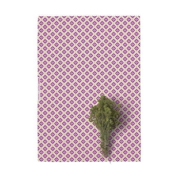 Basic Cactus 2 db-os pamut konyharuha szett, 70 x 50 cm - Happy Friday-image-3