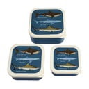 Sötétkék gyerek uzsonnás doboz szett 3 db-os Sharks – Rex London