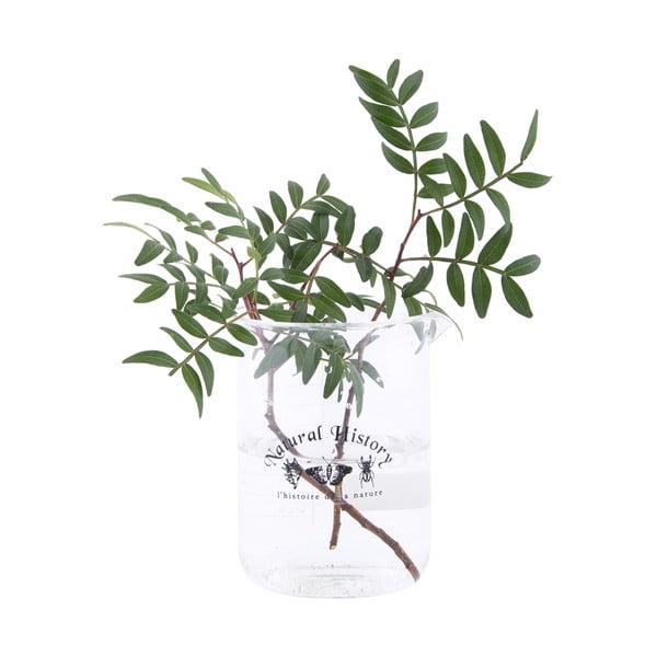 Üveg váza (magasság 12 cm) Natural History – Esschert Design-image-1