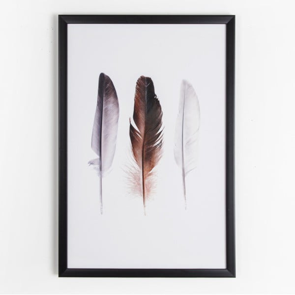 Feather Trio kép, 40 x 60 cm - Graham & Brown